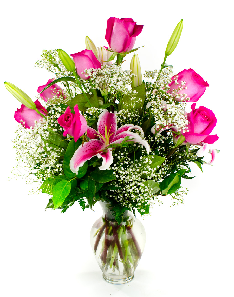 <b>Notice</b>: Undefined index: name in <b>/home/stranges/public_html/shop/vqmod/vqcache/vq2-catalog_view_theme_default_template_product_search.tpl</b> on line <b>386</b>
